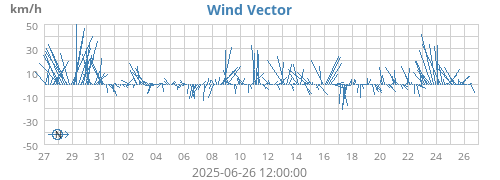 Wind Vector